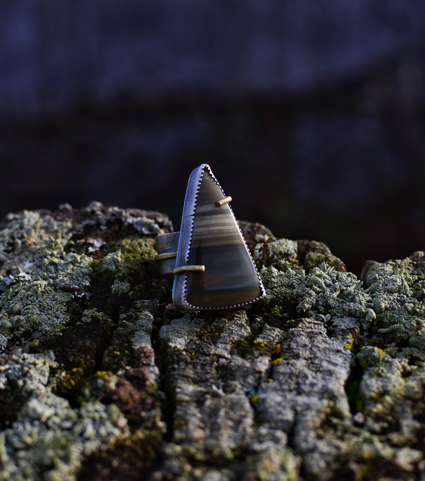 Owyhee jasper- mixed metal- silver and brass statement ring- Size 9.5