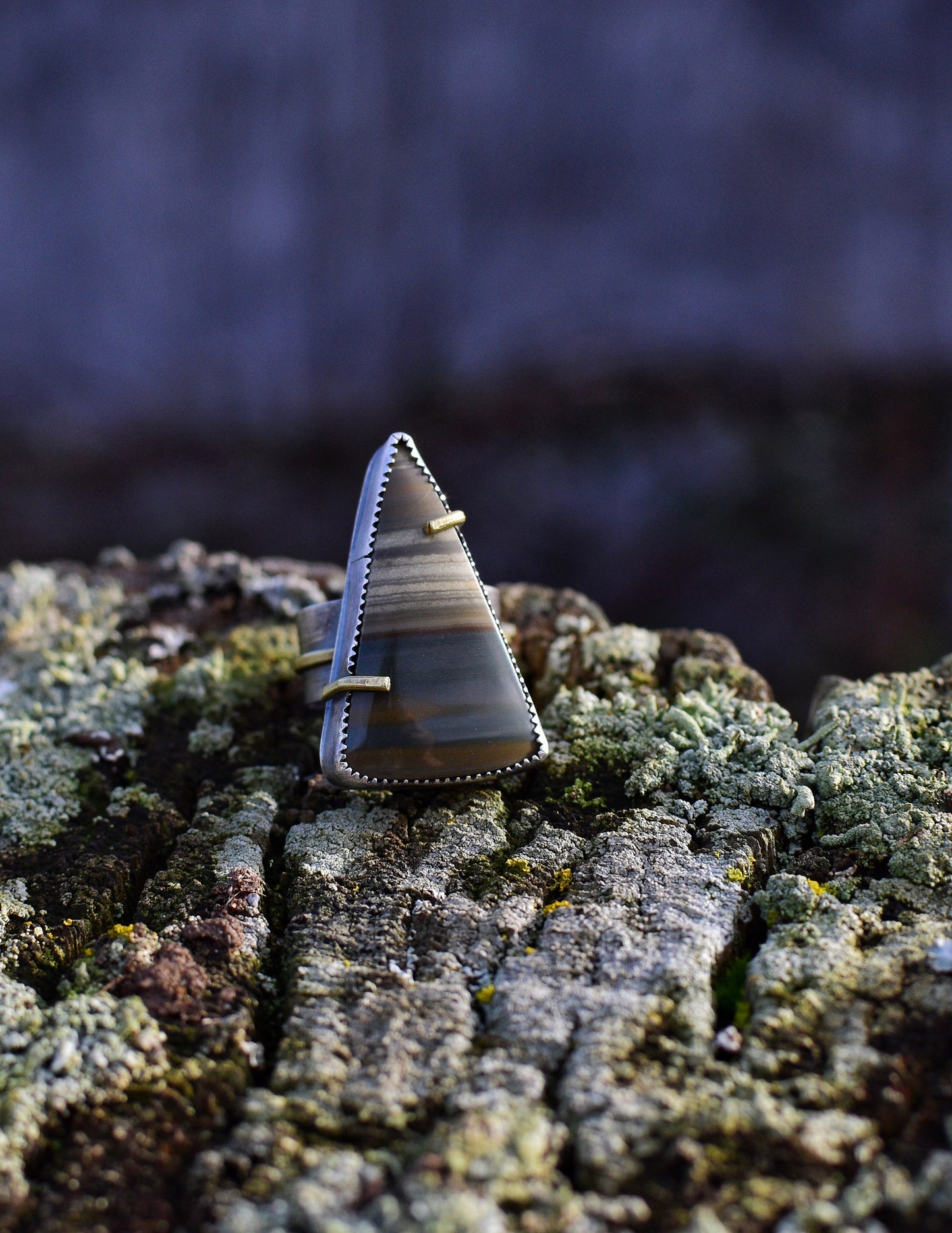 Owyhee jasper- mixed metal- silver and brass statement ring- Size 9.5